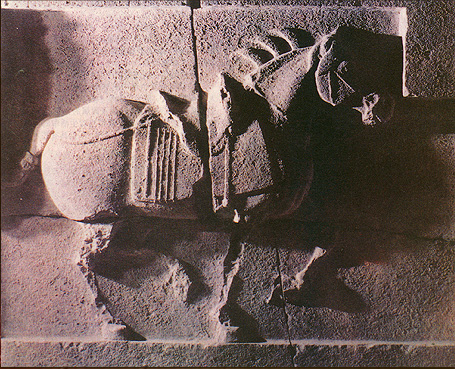 �������E