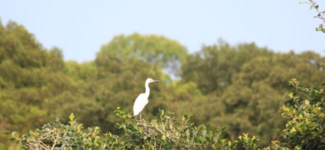 �B�T����ر��o��á���������