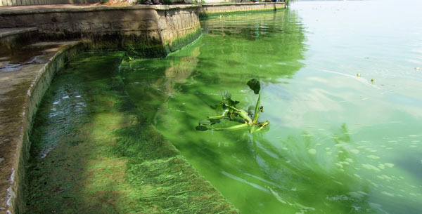 ��أ��nã����韟o߅