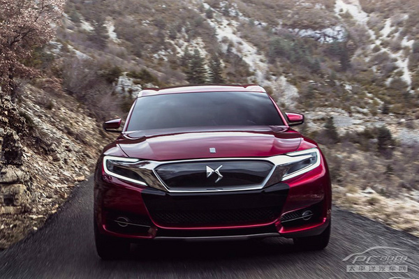 DS Wild Rubis����܇