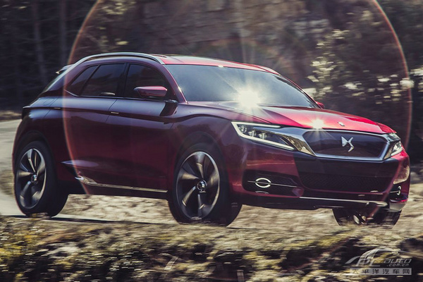 DS Wild Rubis����܇