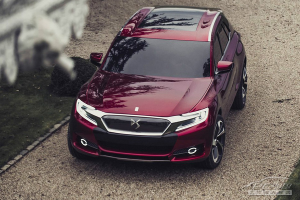 DS Wild Rubis����܇
