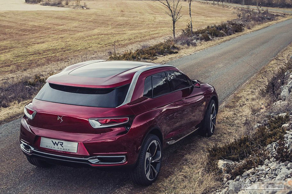 DS Wild Rubis����܇