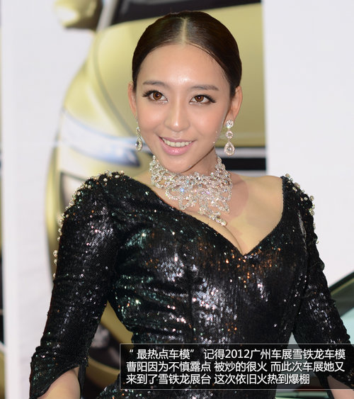 ܇��/չ�_/܇ģ 2013���Ϻ�܇չʮ����