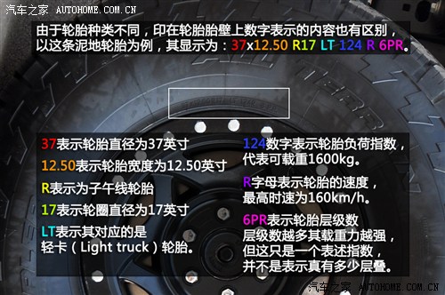 ���ظ���(�M��)����F-1502013�� SVT Raptor