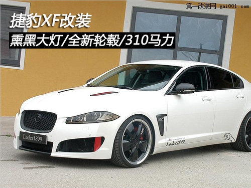 �ݱ�XF���b Ѭ�ڴ��/ȫ��݆ݞ/310�R����1��