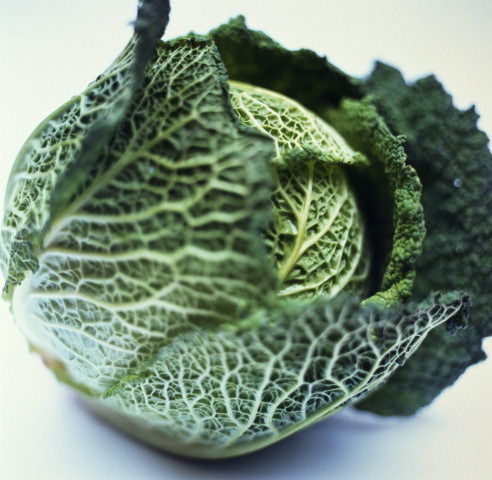 �p��ʳ�V���P(p��n)�c(di��n)11�N��ٝ����ʳ��