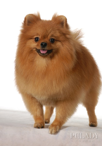 �����L(zh��ng)�y�Ɯy(c��)��?sh��)����g����(zh��n)�_