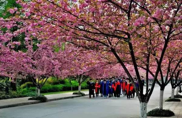 ���\�C����ӭ�����¡�������ʲô�ɫ����