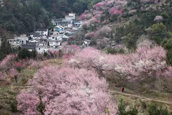 ���\�C����ӭ�����¡�������ʲô�ɫ����