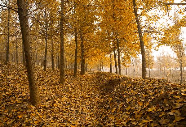 ���\�C����ӭ�����¡�������ʲô�ɫ����