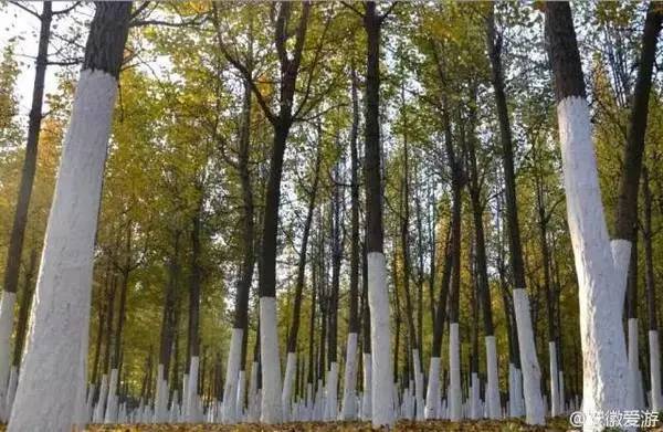 ���\�C����ӭ�����¡�������ʲô�ɫ����