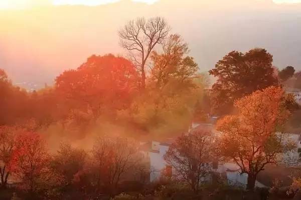 ���\�C����ӭ�����¡�������ʲô�ɫ����