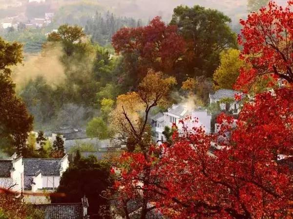 ���\�C����ӭ�����¡�������ʲô�ɫ����