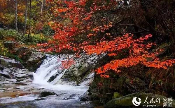 ���\�C����ӭ�����¡�������ʲô�ɫ����