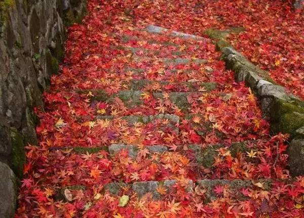 ���\�C����ӭ�����¡�������ʲô�ɫ����