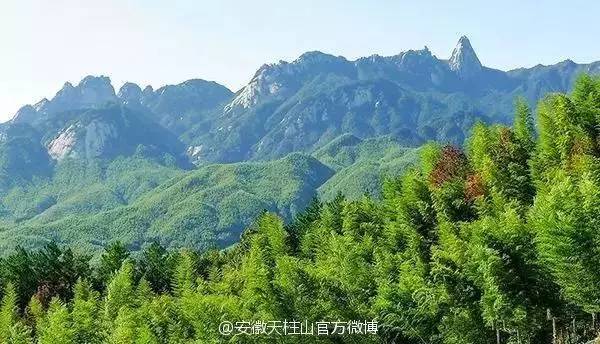 ���\�C����ӭ�����¡�������ʲô�ɫ����