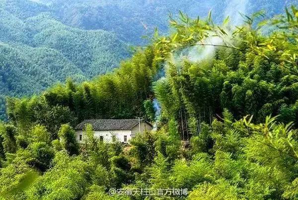 ���\�C����ӭ�����¡�������ʲô�ɫ����