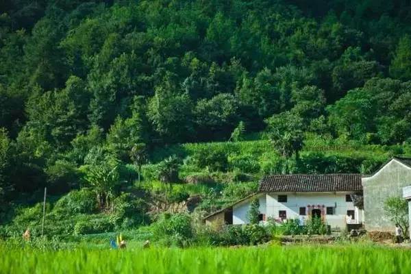 ���\�C����ӭ�����¡�������ʲô�ɫ�ģ�