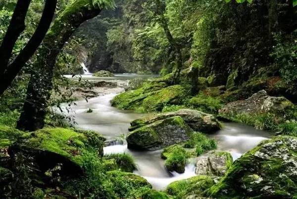 ���\�C����ӭ�����¡�������ʲô�ɫ����