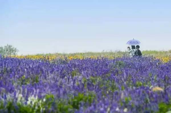 ���\�C����ӭ�����¡�������ʲô�ɫ����