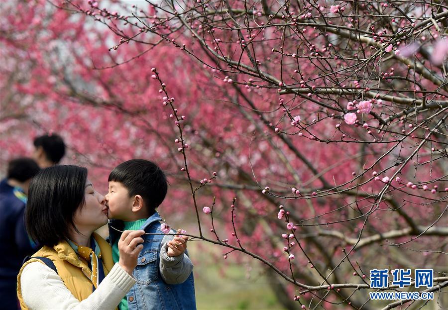 “十里桃花”醉春風(fēng)