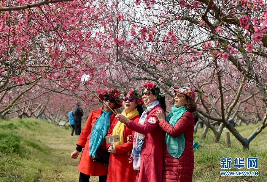 “十里桃花”醉春風(fēng)