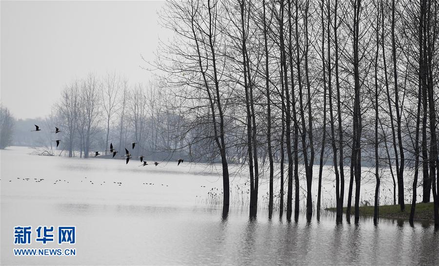 ���ջ���ˮ�T(m��n)�� ǧ��ˮ���f(w��n)핲�