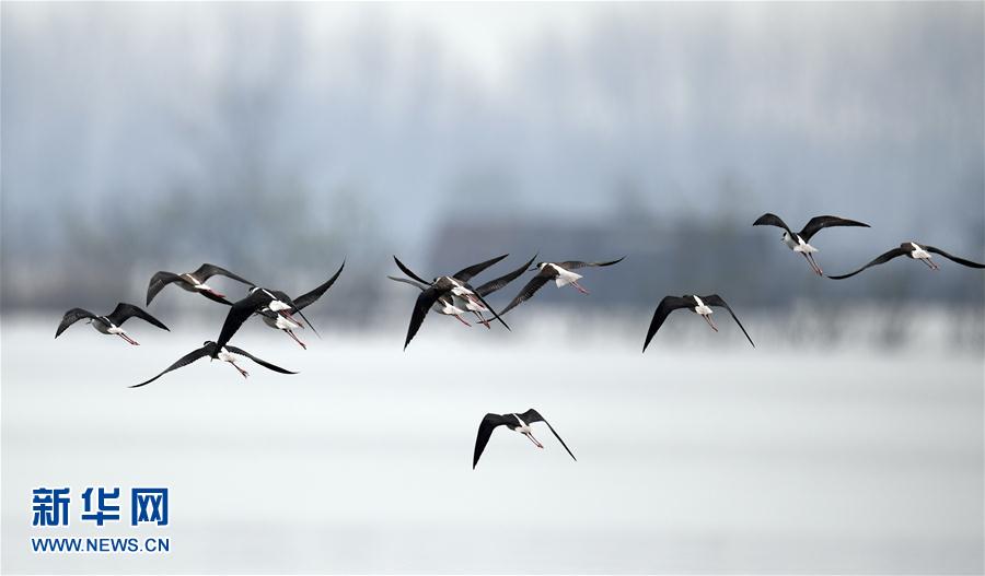 ���ջ���ˮ�T(m��n)�� ǧ��ˮ���f(w��n)핲�