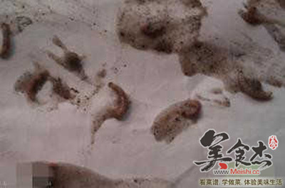 һ���Ϸ���֥����Գ�8�l�x(ch��ng)��