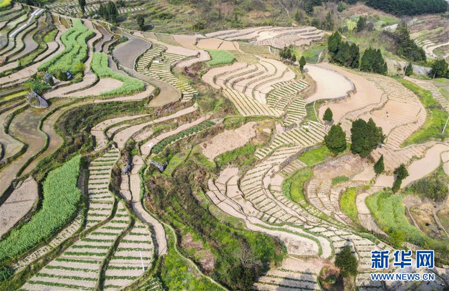 �����Aҕ�磩��1��ɽ�l(xi��ng)����