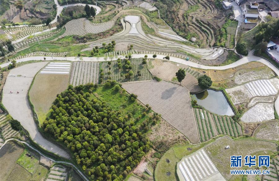 �����Aҕ�磩��3��ɽ�l(xi��ng)����