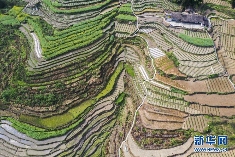 �����Aҕ�磩��5��ɽ�l(xi��ng)����