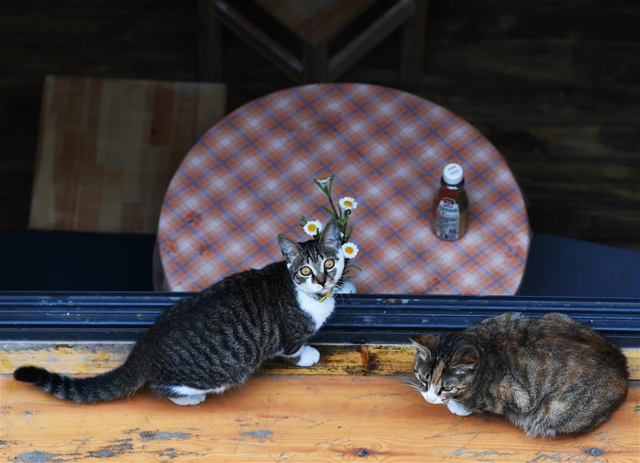 (社會)(5)重慶江北:文創(chuàng)街區(qū)假期受青睞