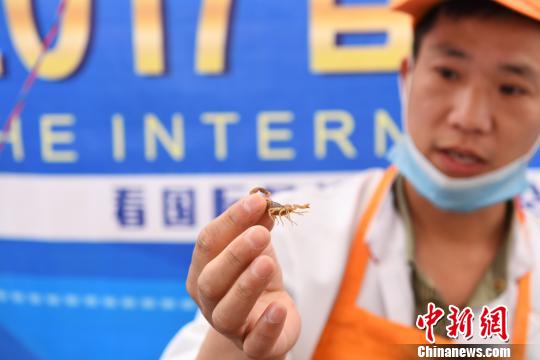 �D��̩�����x���ϰ�����������x�������G�� �z