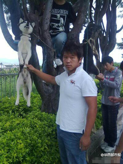 �W(w��ng)������Ű������Ƭ���ؑ�(y��ng)�Q�P(gu��n)��ƨ����