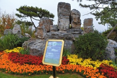 2020�걱���딵(sh��)���ߌ����B(t��i)�����z�w̎��o����