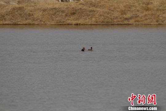 ���C��ڝ�����B(t��i)�h(hu��n)�����D(zhu��n)�u�ɺ��B���a(b��)�oվ�����D��