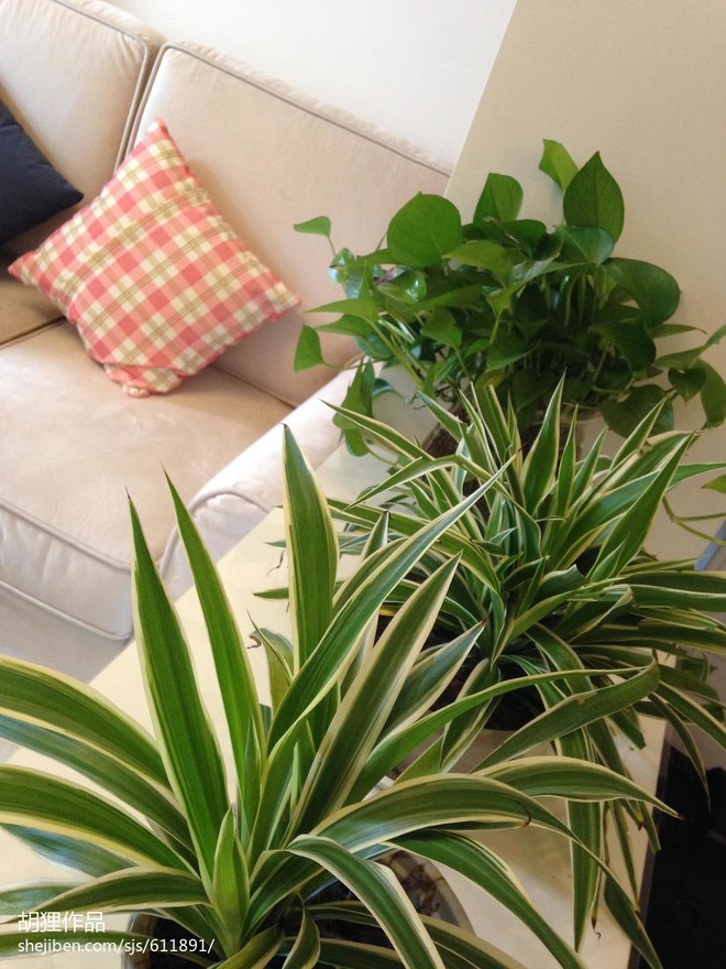 ��ĩ?��(y��u)��_(t��i)1350651