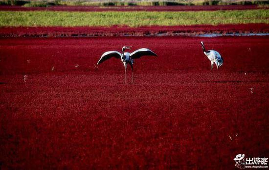 ���·��m��ȥ�������������������ĵط�