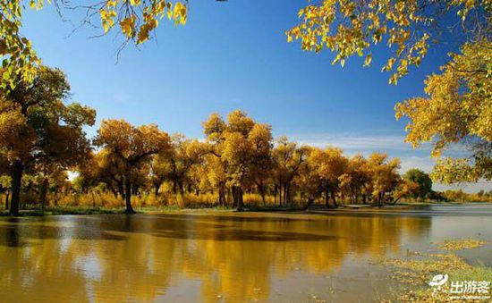 ���·��m��ȥ�������������������ĵط�