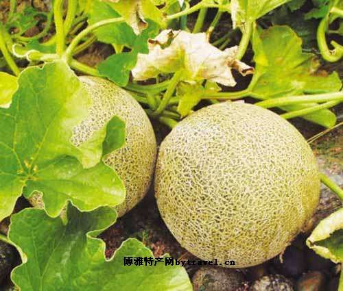 ��Ƥ����