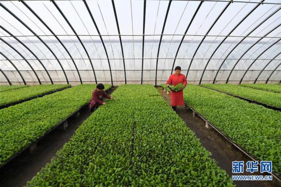 ����(j��ng)��(j��)����1���ӱ���¹��æ���� ������