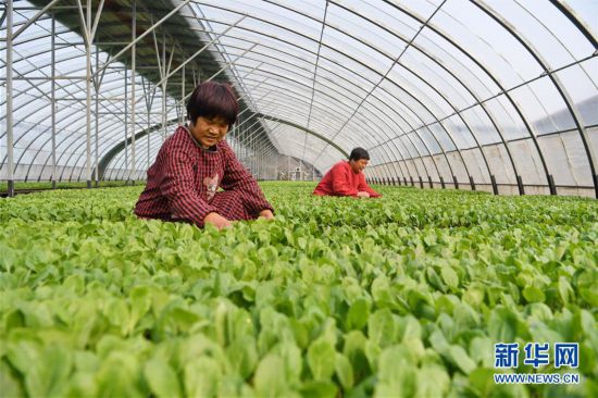 ����(j��ng)��(j��)����2���ӱ���¹��æ���� ������