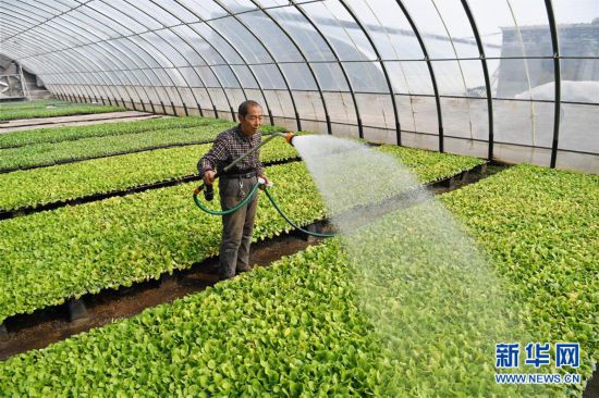 ����(j��ng)��(j��)����3���ӱ���¹��æ���� ������