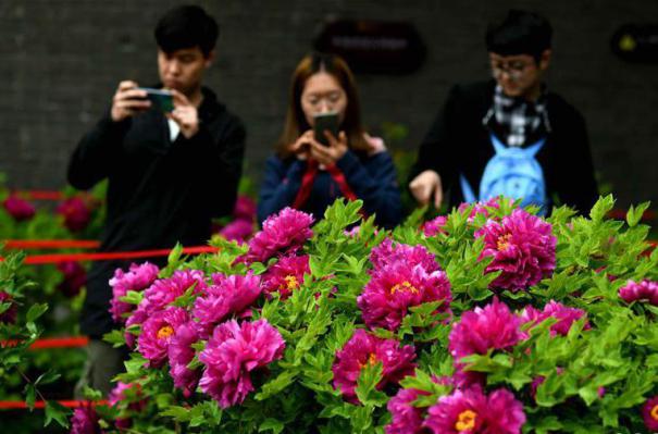 #���������2���ӱ��������ꝙĵ��ӭ�́�