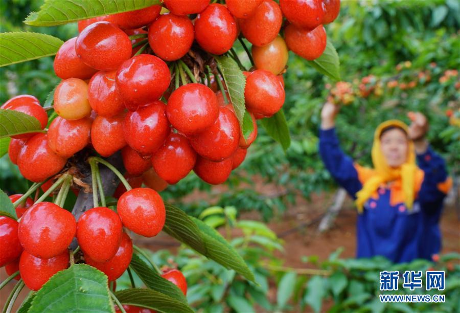 ����������1���ӱ����ݣ��������͸���r��