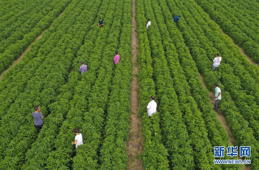 ����(j��ng)��(j��)����1���ӱ���ˮ��С�����_(k��i)���¸���·��