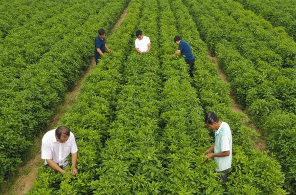 ����(j��ng)������3���ӱ���ˮ��С�����_���¸���·��