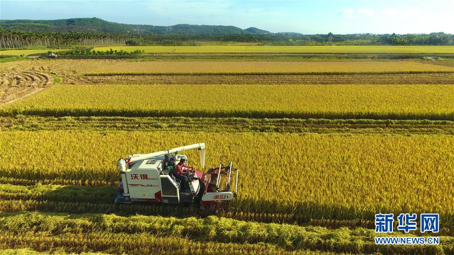 #����(j��ng)��(j��)����1�������r(n��ng)æ